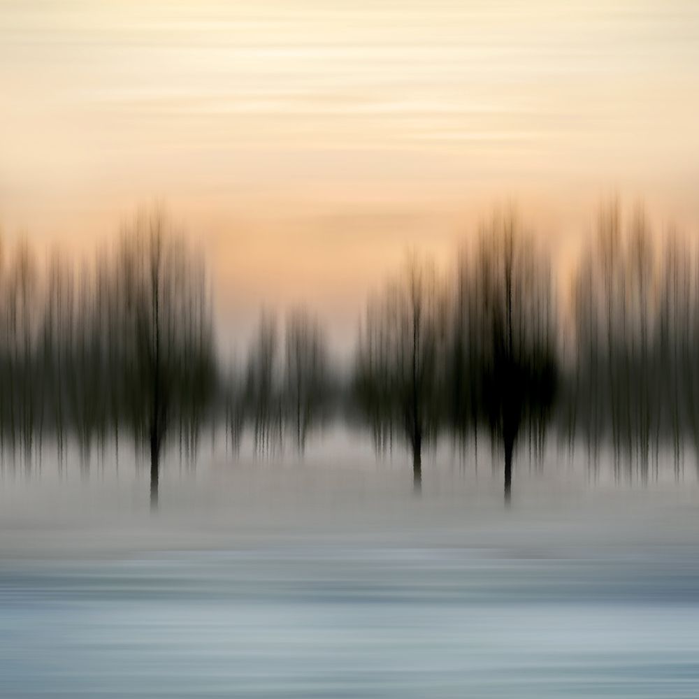 Early Morning V art print by Madeline Clark for $57.95 CAD