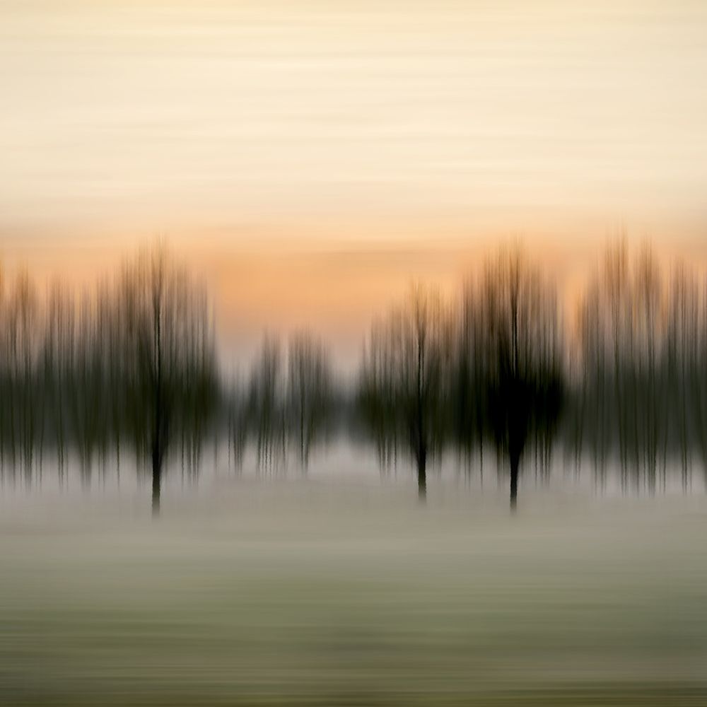 Early Morning VI art print by Madeline Clark for $57.95 CAD