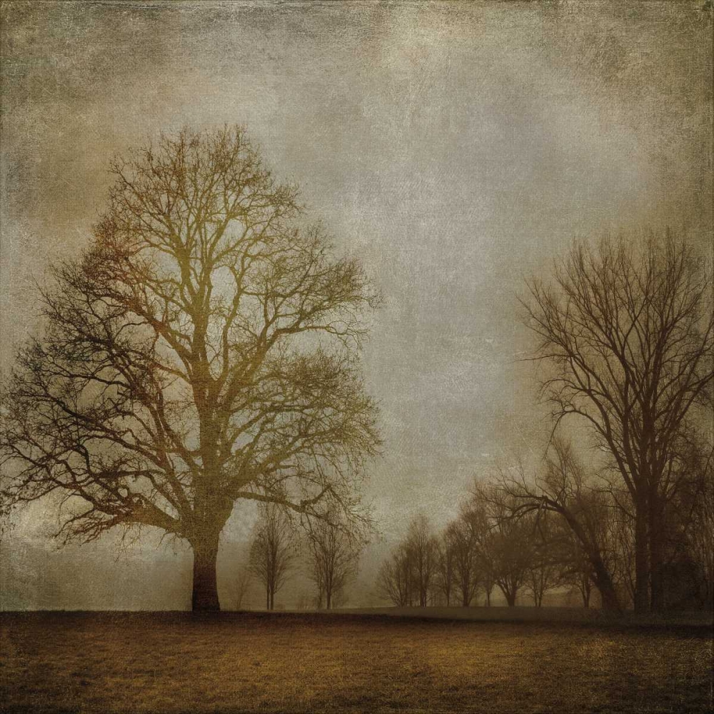 Morning Meditation I art print by Madeline Clark for $57.95 CAD