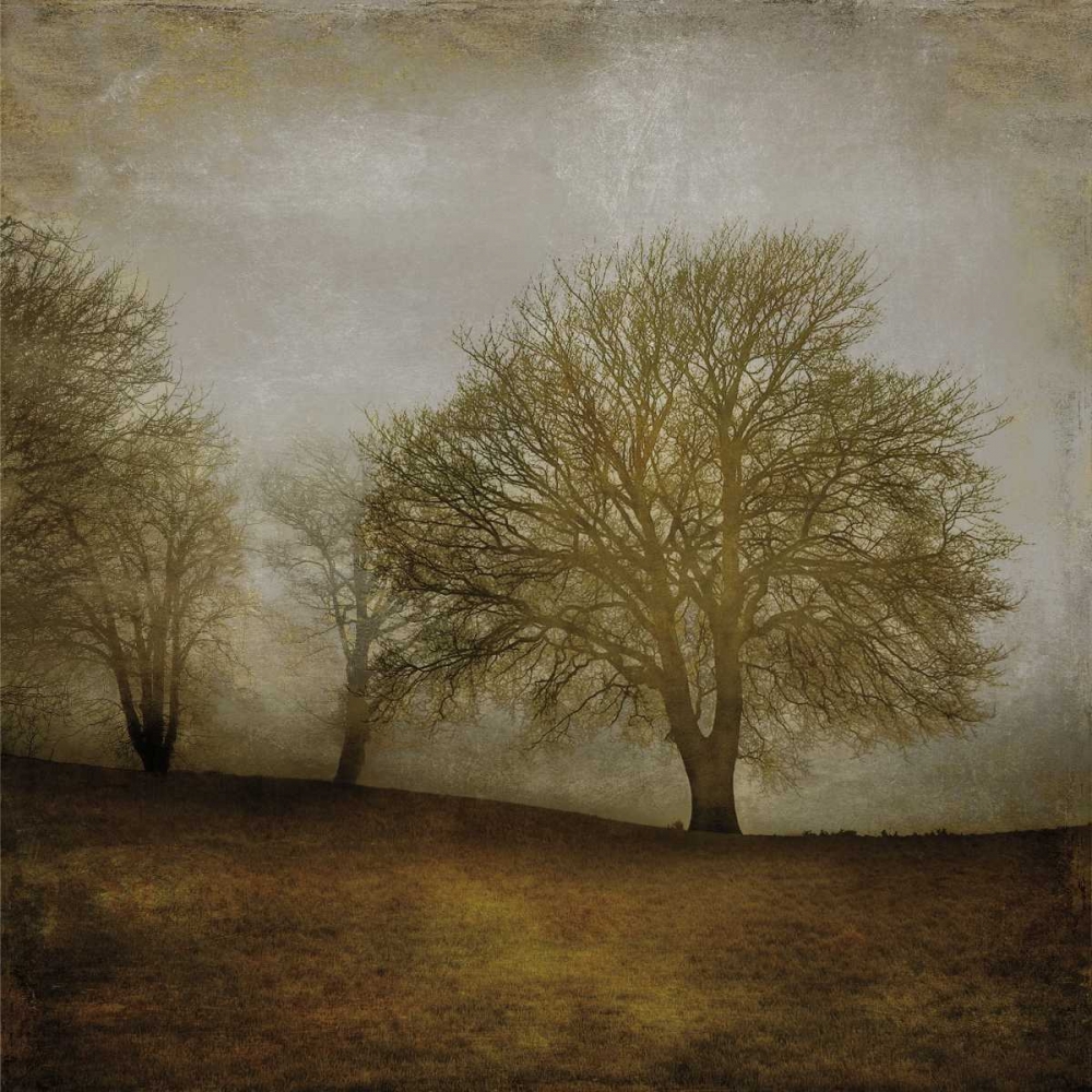 Morning Meditation II art print by Madeline Clark for $57.95 CAD