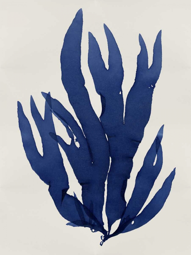 Sea Life - Indigo III art print by Melonie Miller for $57.95 CAD