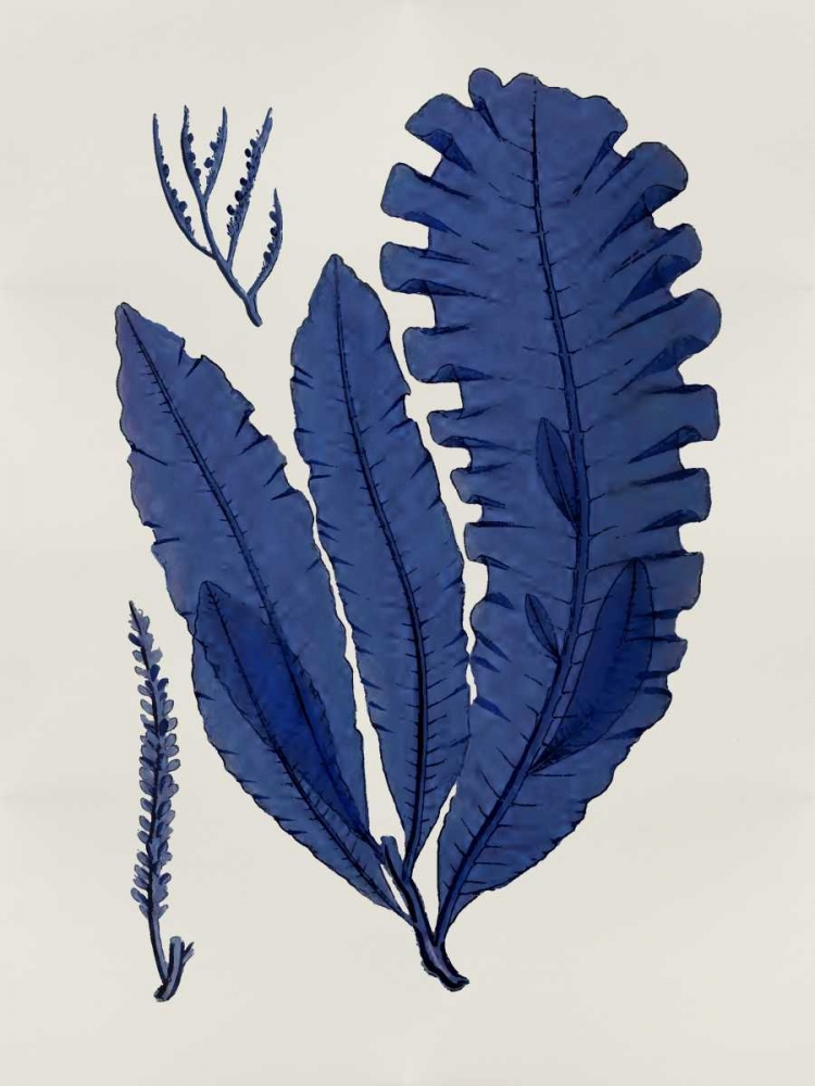 Sea Life - Indigo IV art print by Melonie Miller for $57.95 CAD
