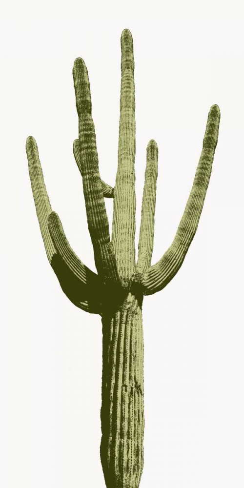 Saguaro I art print by Mia Jensen for $57.95 CAD