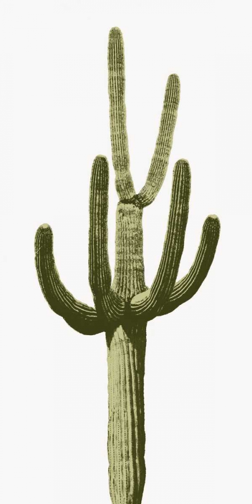 Saguaro III art print by Mia Jensen for $57.95 CAD