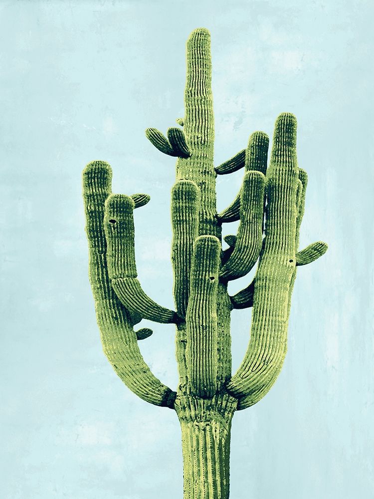 Cactus on Blue II art print by Mia Jensen for $57.95 CAD