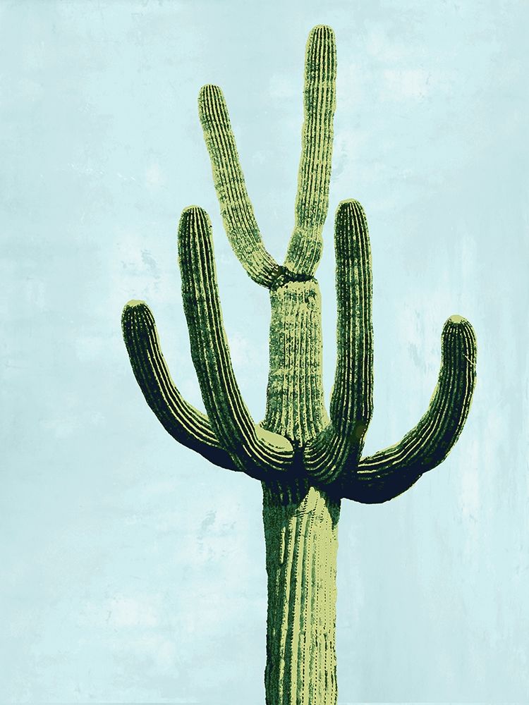 Cactus on Blue IV art print by Mia Jensen for $57.95 CAD