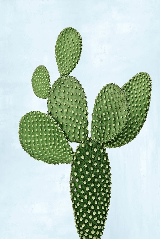 Cactus on Blue VIII art print by Mia Jensen for $57.95 CAD