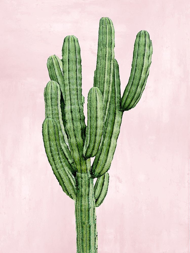 Cactus on Pink I art print by Mia Jensen for $57.95 CAD