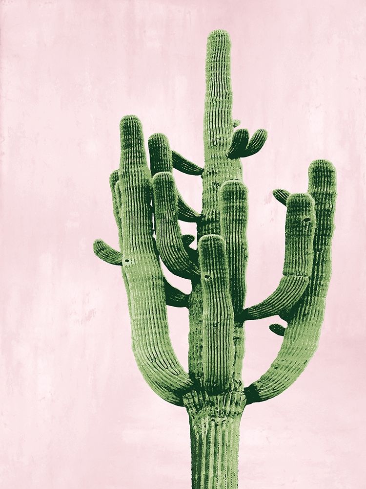 Cactus on Pink II art print by Mia Jensen for $57.95 CAD