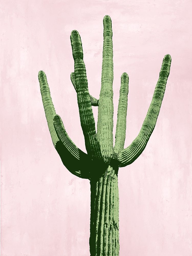 Cactus on Pink III art print by Mia Jensen for $57.95 CAD