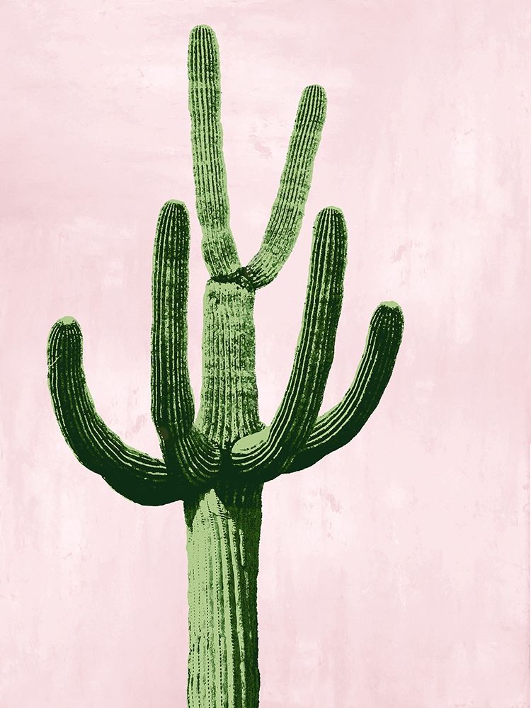 Cactus on Pink IV art print by Mia Jensen for $57.95 CAD