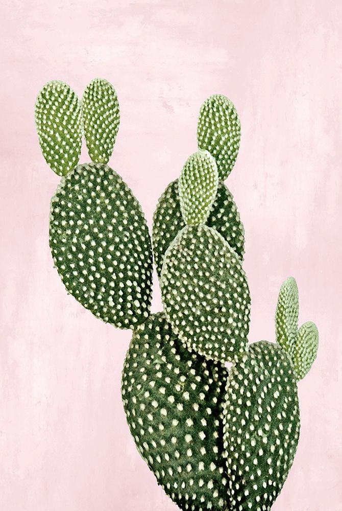 Cactus on Pink V art print by Mia Jensen for $57.95 CAD