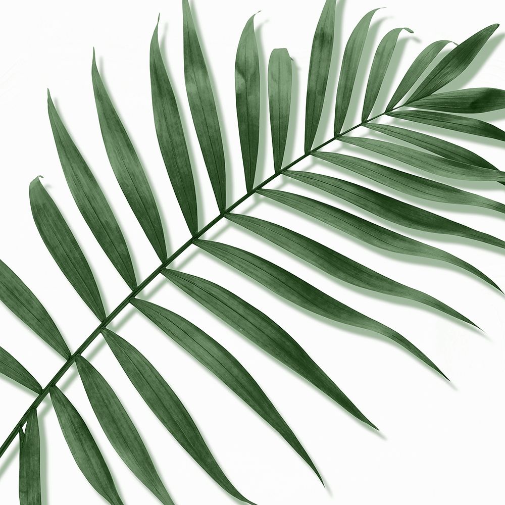 Palm Green II art print by Mia Jensen for $57.95 CAD