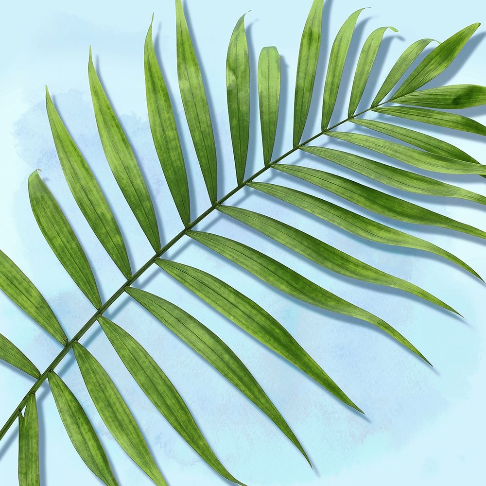 Palm on Blue II art print by Mia Jensen for $57.95 CAD