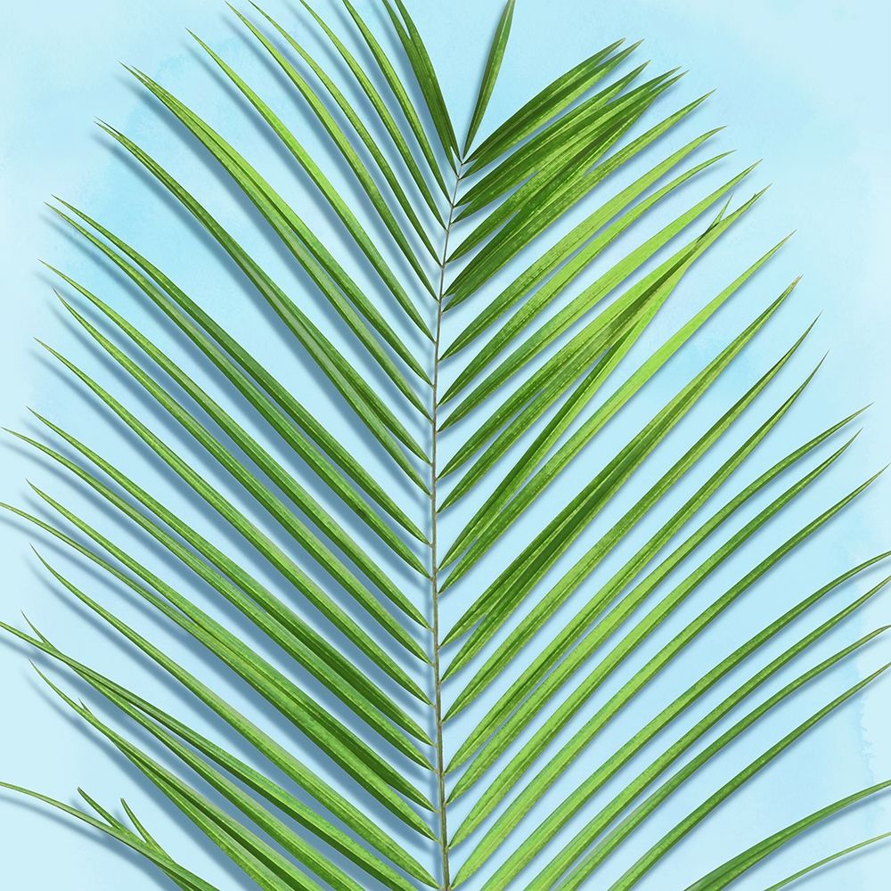 Palm on Blue V art print by Mia Jensen for $57.95 CAD