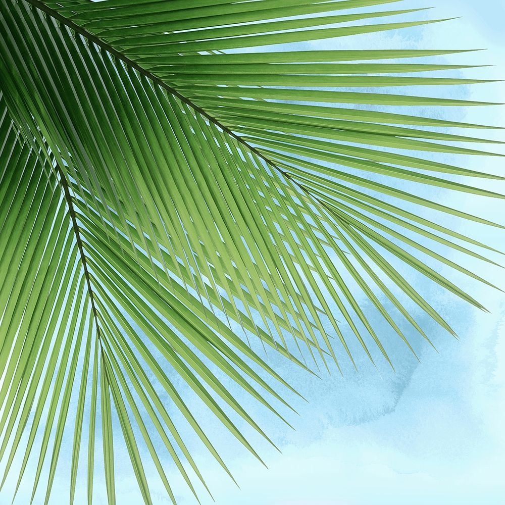 Palm on Blue VI art print by Mia Jensen for $57.95 CAD