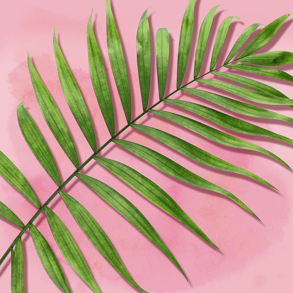 Palm on Pink II art print by Mia Jensen for $57.95 CAD