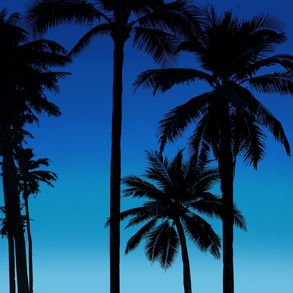 Palms Black on Blue II art print by Mia Jensen for $57.95 CAD