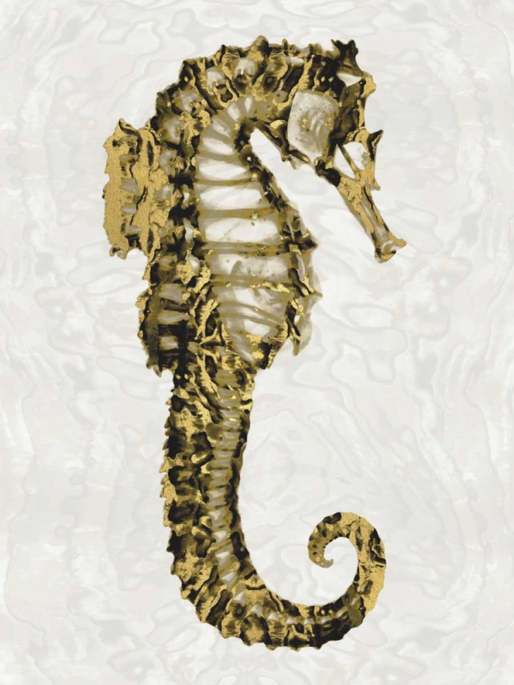 Golden Sea Horse II art print by Melonie Miller for $57.95 CAD
