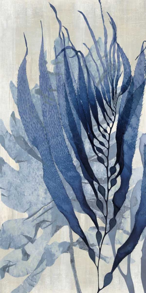 Sea Nature in Blue I art print by Melonie Miller for $57.95 CAD