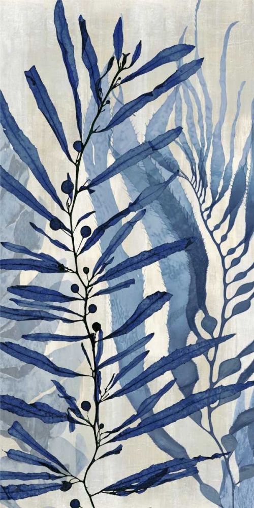 Sea Nature in Blue II art print by Melonie Miller for $57.95 CAD