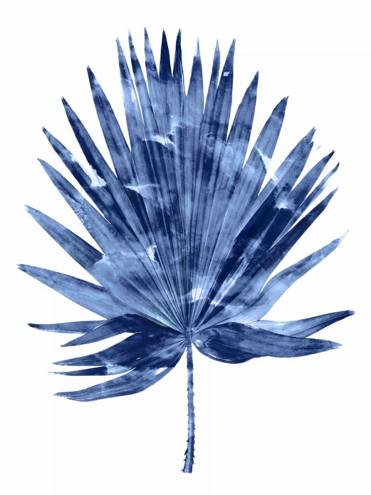 Indigo Palm IV art print by Melonie Miller for $57.95 CAD
