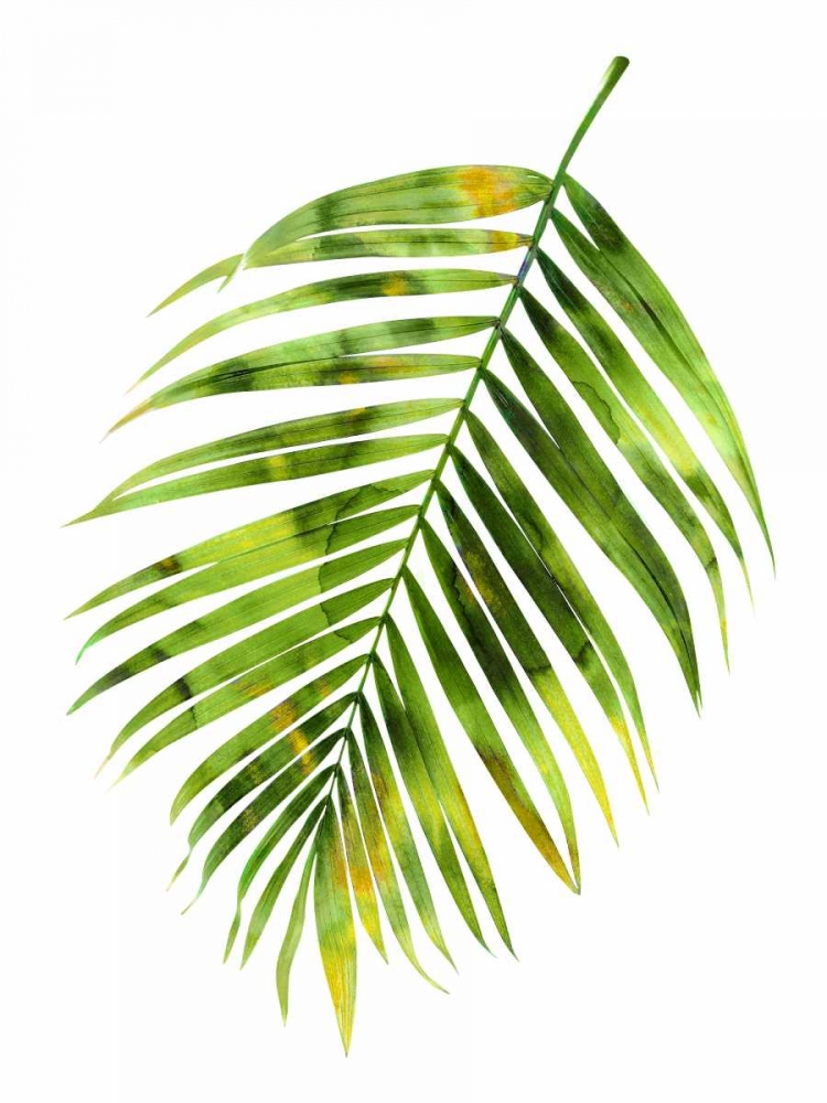 Palm I art print by Melonie Miller for $57.95 CAD