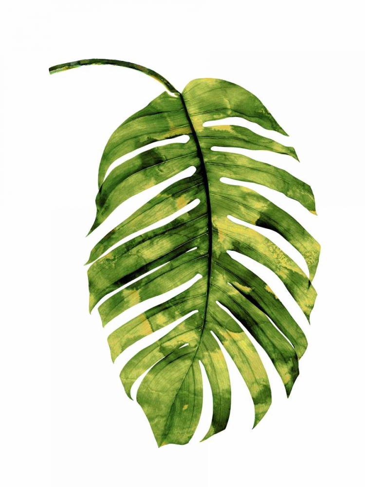 Palm II art print by Melonie Miller for $57.95 CAD