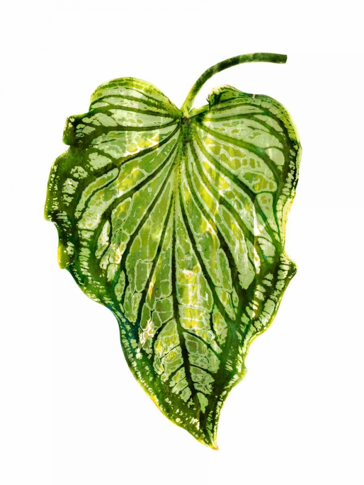 Palm III art print by Melonie Miller for $57.95 CAD