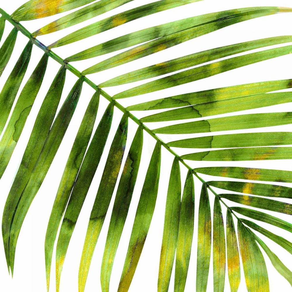 Tropical Palm I art print by Melonie Miller for $57.95 CAD