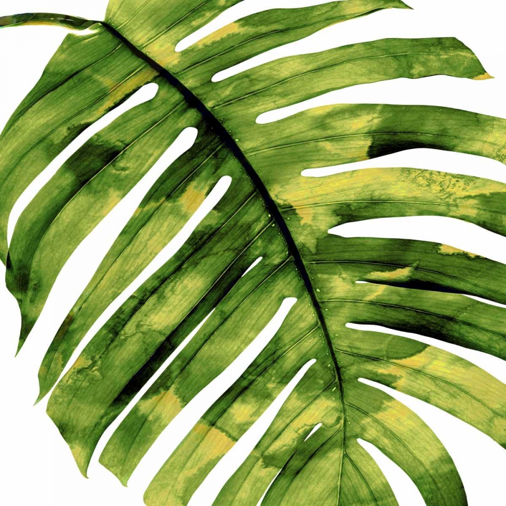 Tropical Palm II art print by Melonie Miller for $57.95 CAD