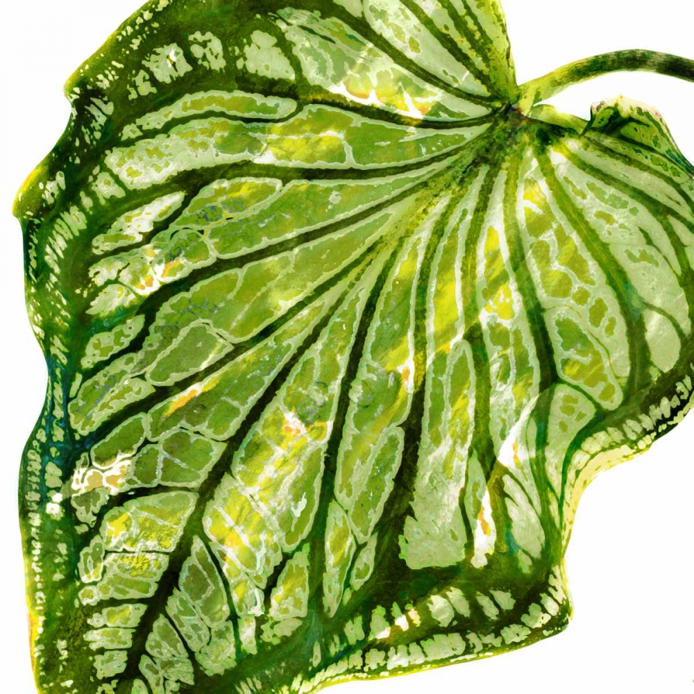 Tropical Palm III art print by Melonie Miller for $57.95 CAD