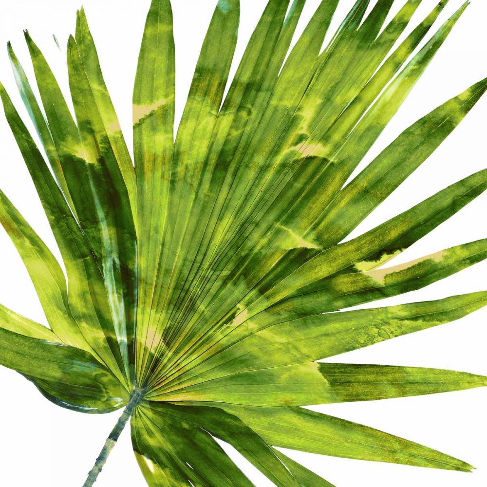 Tropical Palm IV art print by Melonie Miller for $57.95 CAD