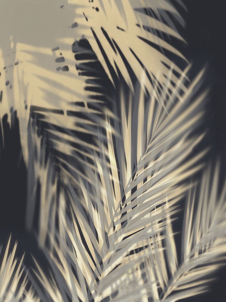 Palm Shadows Cream II art print by Melonie Miller for $57.95 CAD