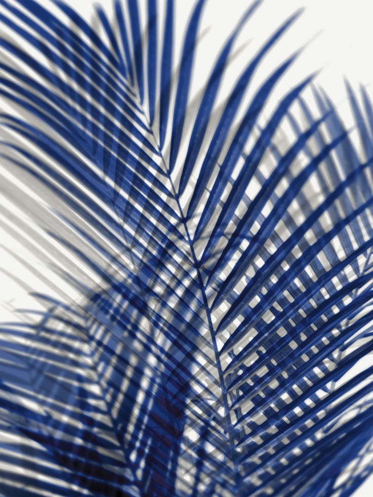 Palm Shadows Blue I art print by Melonie Miller for $57.95 CAD
