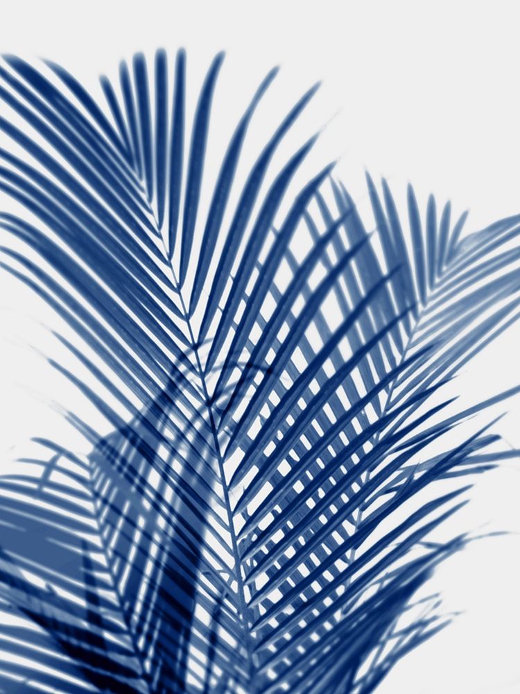Palm Shadows Indigo I art print by Melonie Miller for $57.95 CAD
