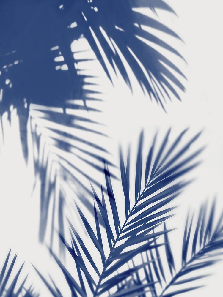 Palm Shadows Indigo II art print by Melonie Miller for $57.95 CAD
