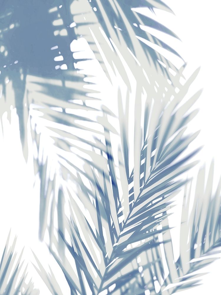 Palm Shadows  II art print by Melonie Miller for $57.95 CAD