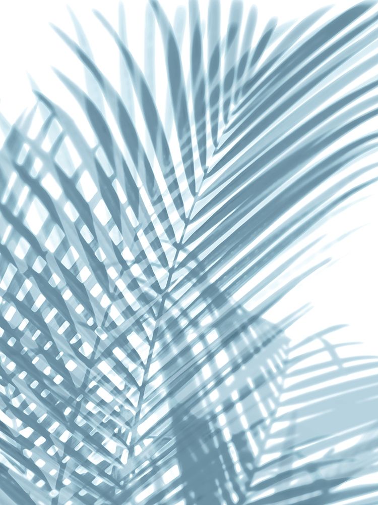 Palm Shadows Aqua I art print by Melonie Miller for $57.95 CAD