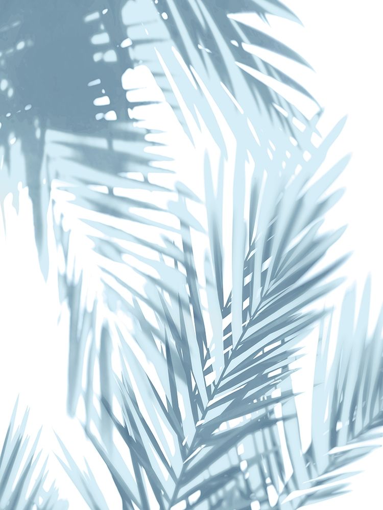 Palm Shadows Aqua II art print by Melonie Miller for $57.95 CAD