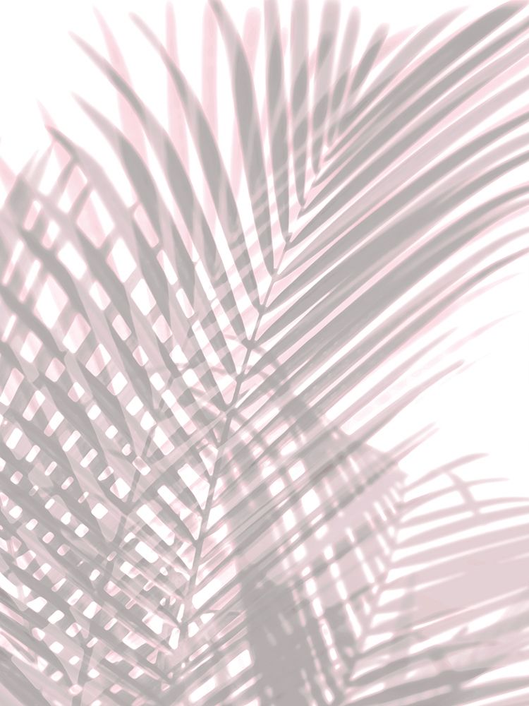 Palm Shadows Blush II art print by Melonie Miller for $57.95 CAD