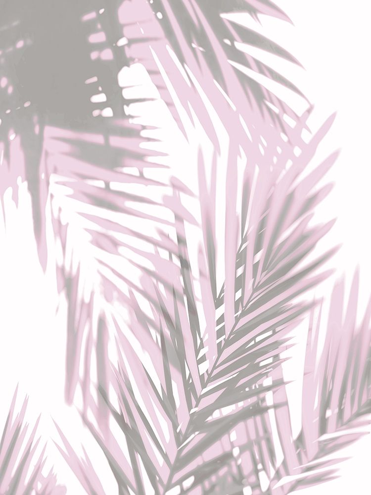 Palm Shadows Blush I art print by Melonie Miller for $57.95 CAD