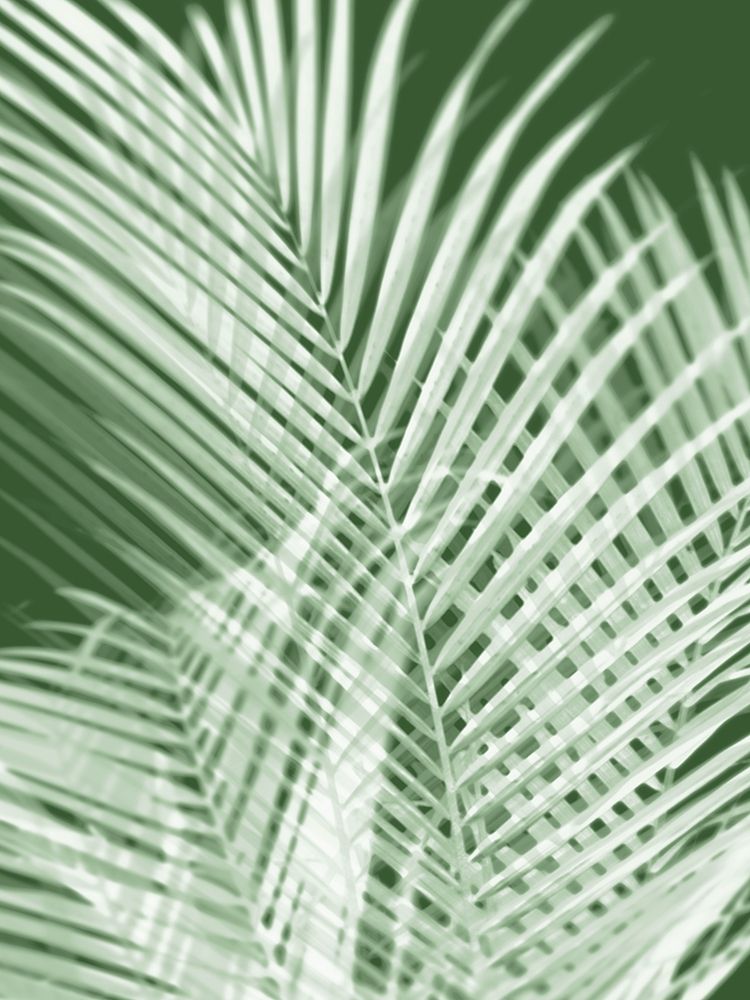 Palm Shadows Green I art print by Melonie Miller for $57.95 CAD