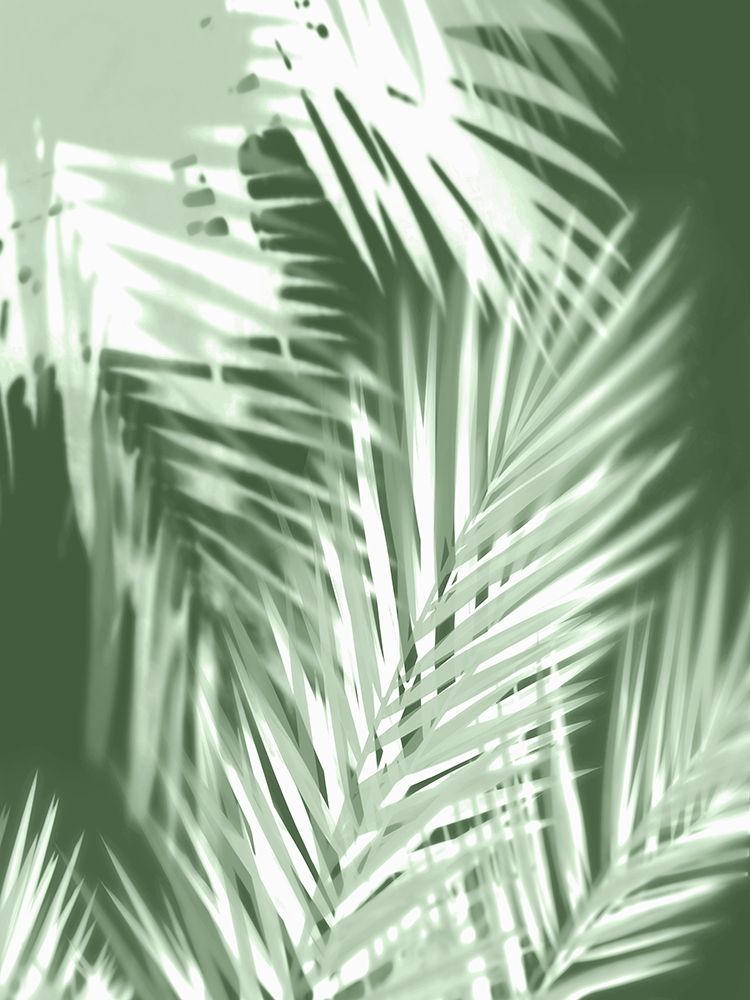Palm Shadows Green II art print by Melonie Miller for $57.95 CAD