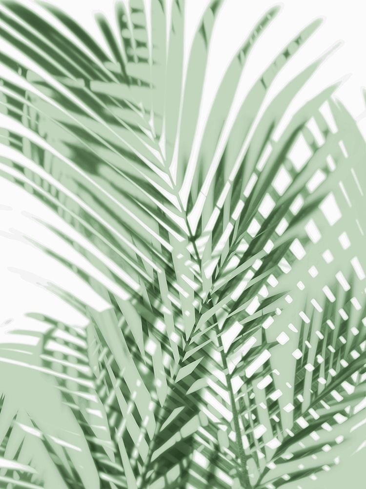 Palm Shadows Green III art print by Melonie Miller for $57.95 CAD