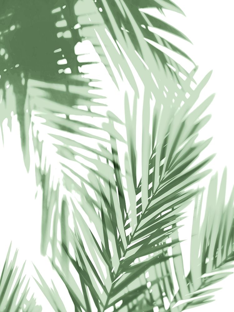 Palm Shadows Green IV art print by Melonie Miller for $57.95 CAD