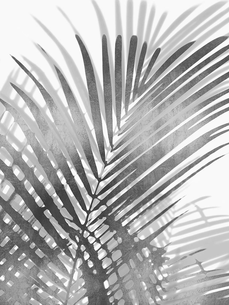 Palm Shadows I art print by Melonie Miller for $57.95 CAD