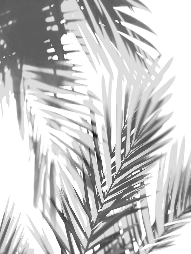 Palm Shadows II art print by Melonie Miller for $57.95 CAD