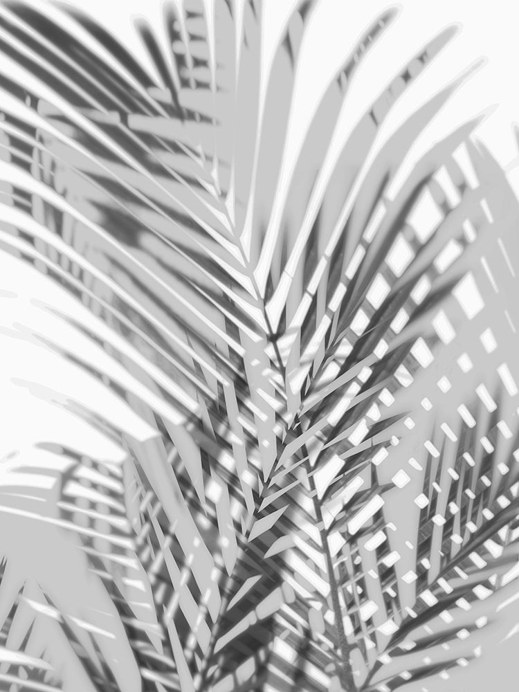 Palm Shadows III art print by Melonie Miller for $57.95 CAD