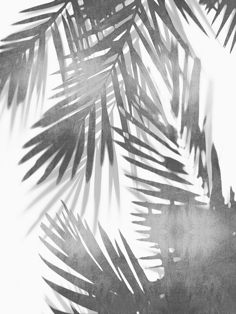 Palm Shadows IV art print by Melonie Miller for $57.95 CAD